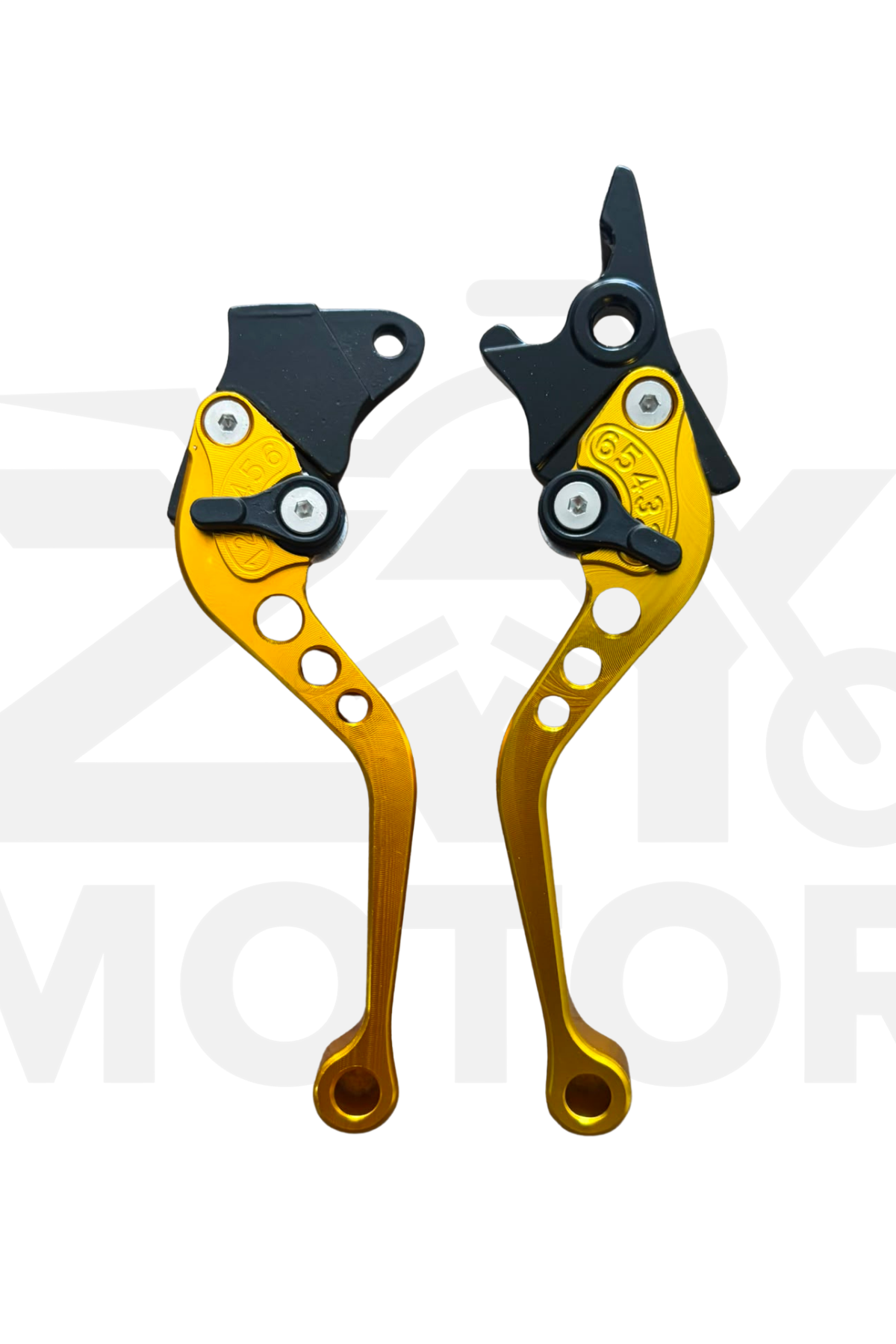 Cg Sport Manet Gold
