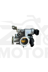 Tvs Raider125 Kelebek Valf Gövdesi (E5+)
