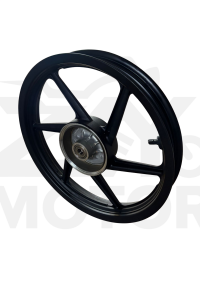 Tvs Raider125 Arka Jant