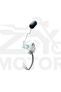 Tvs Raider125 Benzin Depo Şamandırası
