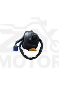 Tvs Raider125 Sol Kumanda