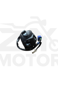 Tvs Raider125 Sol Kumanda