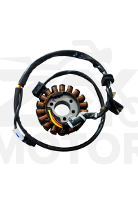 Tvs Raider125 Alternatör Komple Statör Rotor