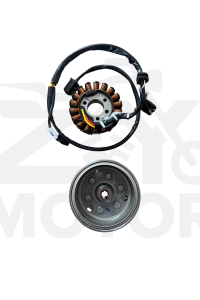 Tvs Raider125 Alternatör Komple Statör Rotor