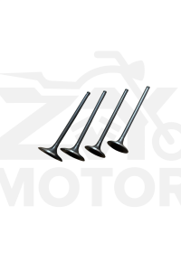 Cf Moto 250Nk Subap Takımı (2 Emme 2 Egzoz)