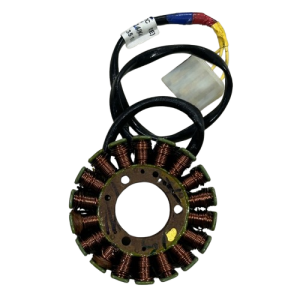 Bajaj Ns200 Alternatör (Statör) (21-23Md UG)