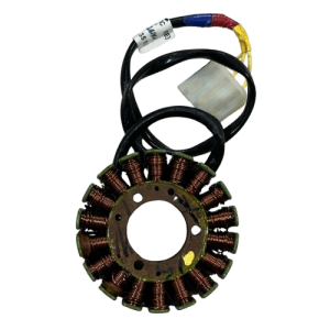Bajaj Ns200 Alternatör (Statör) (21-23Md UG)